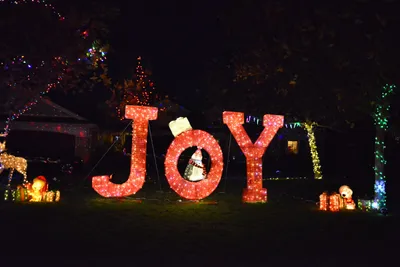 DSC_5775 (Large).JPG